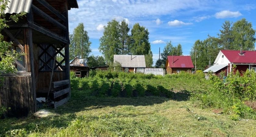 С 1 мая баню теперь придется снести — касается всех, у кого есть дача или участок С 1 мая баню теперь придется снести — касается всех, у кого есть дача или участок
