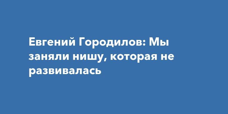 Евгений Городилов: Мы заняли нишу, которая не развивалась