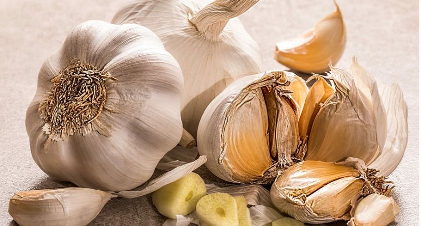 Эликсир молодости: рецепт с чесноком и молоком для поддержания здоровья
