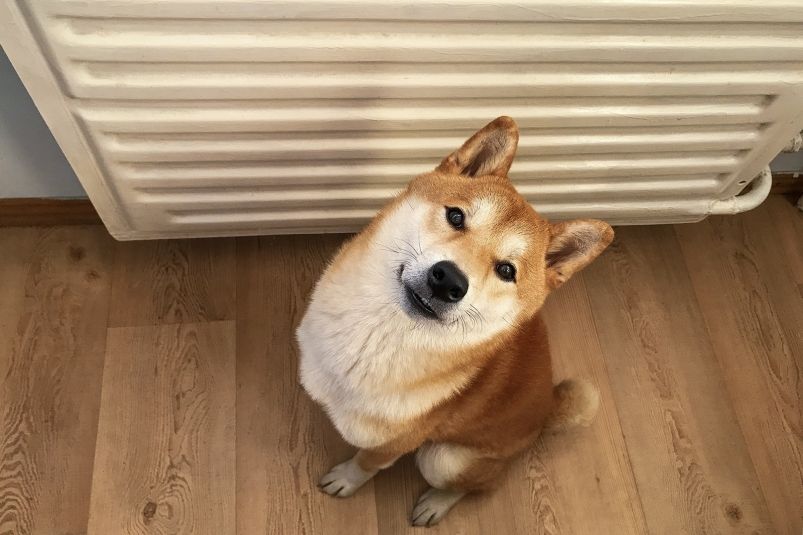  ,        -    