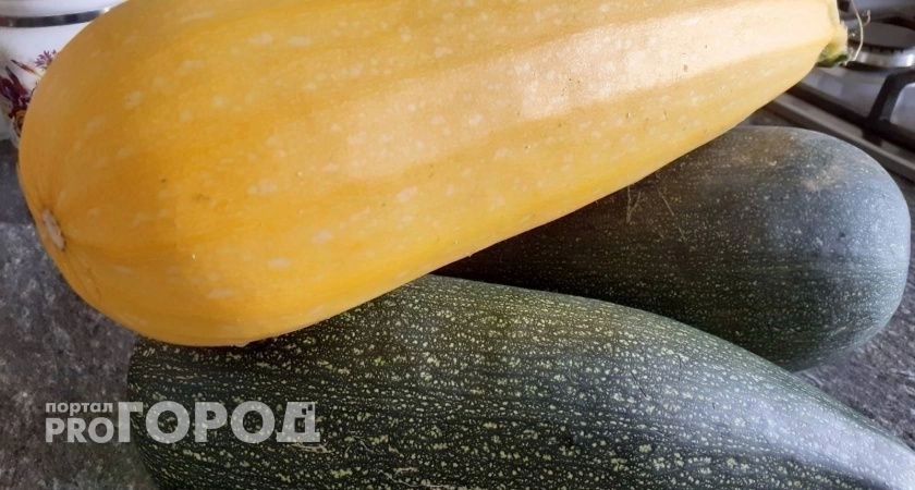 От рассады до богатого урожая: секреты выращивания кабачков от опытного агронома
