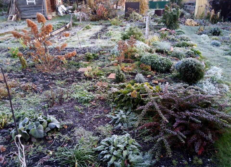 Последние осенние дела на даче