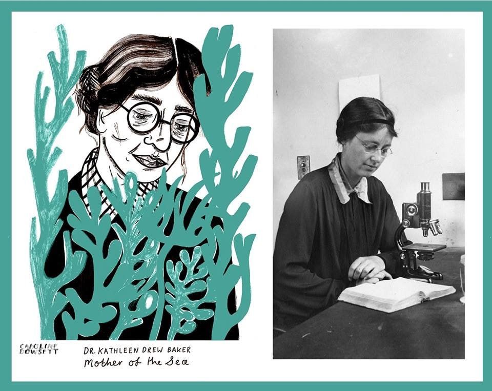 Тайна нори: роль Кэтлин Дрю-Бейкер в спасении японской кулинарной традиции