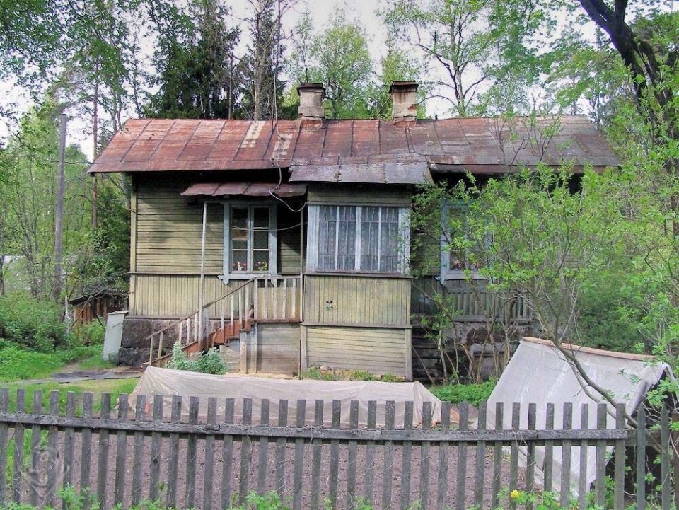 Новые штрафы за неухоженные участки: всё, что нужно знать владельцам земли