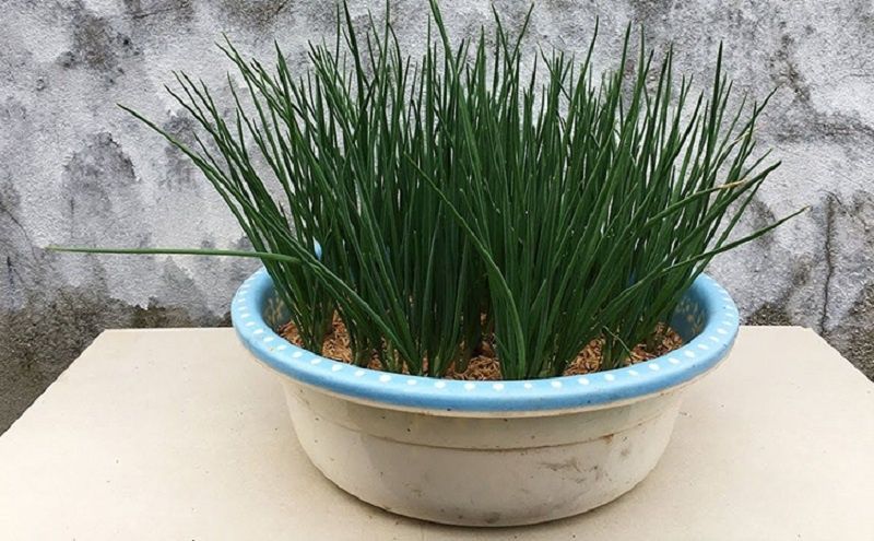 ����������� �������� ����: ������� �������� ������ �� ��� ������