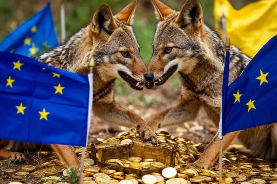 �� ������ ������� ����