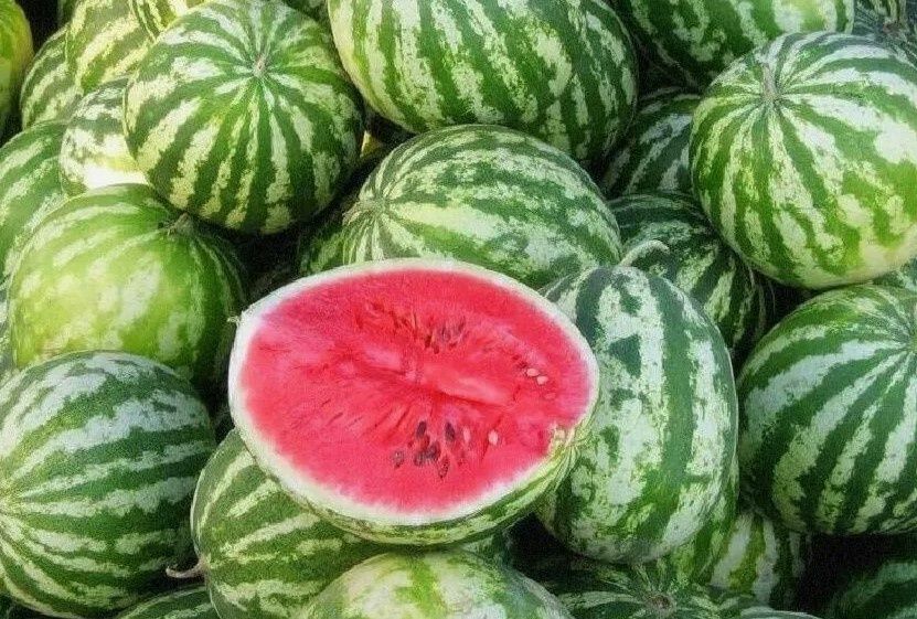 �������� ���: ��� ��� ����� ����� ����� ����� ����� ��������� �������� ��������