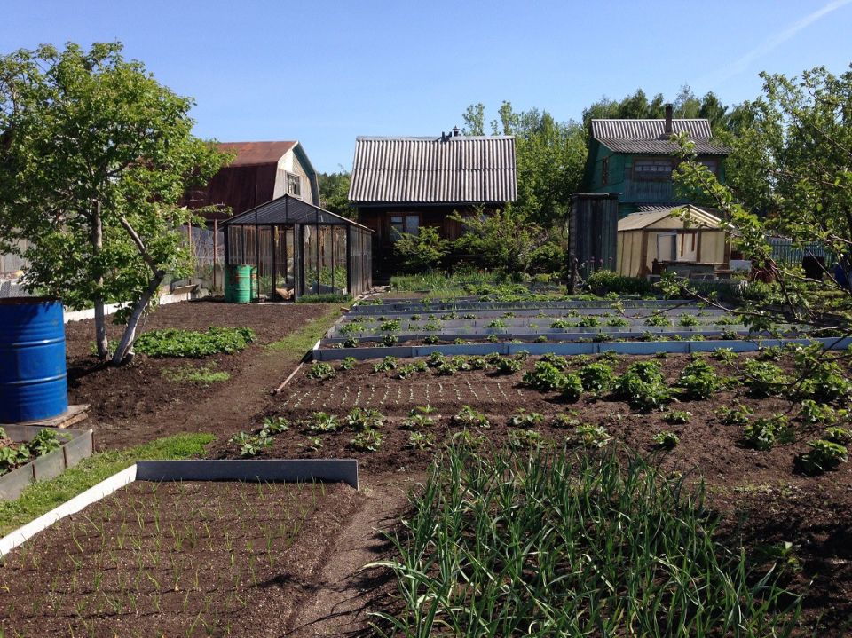 �������� �������������: ������ �� ����������� ������� � ��� �������� �������