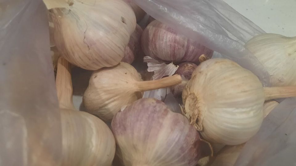 Как собрать два урожая за один сезон: секреты успешных огородников