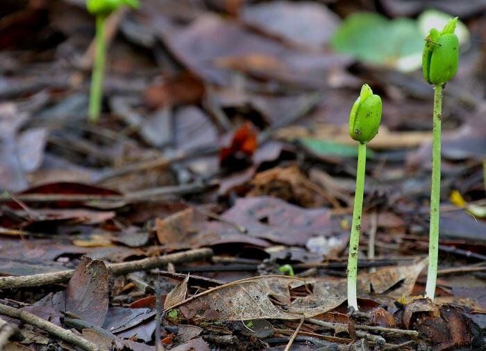 �� ��� �������� ��������, ���� ������� �������� �������?