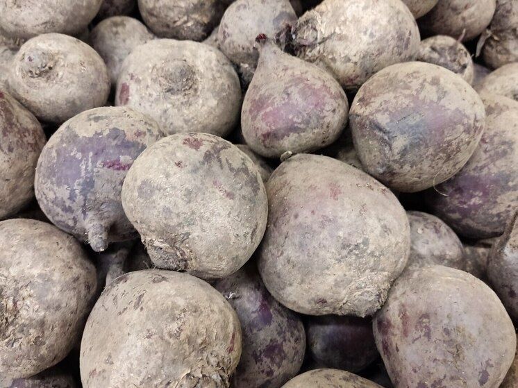 ���� �� ������: �������� ������ �������� ��� ��������