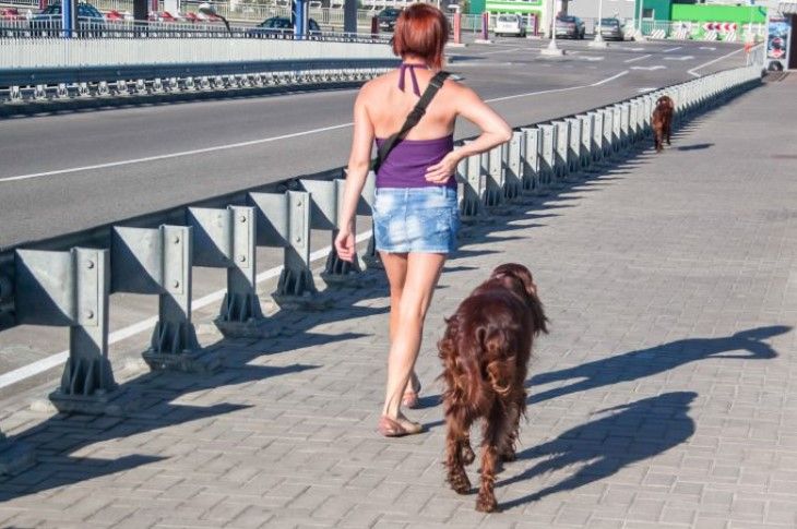 ��� ���������� �� ������ ���� ��� �����������: ������ ������� �� �������