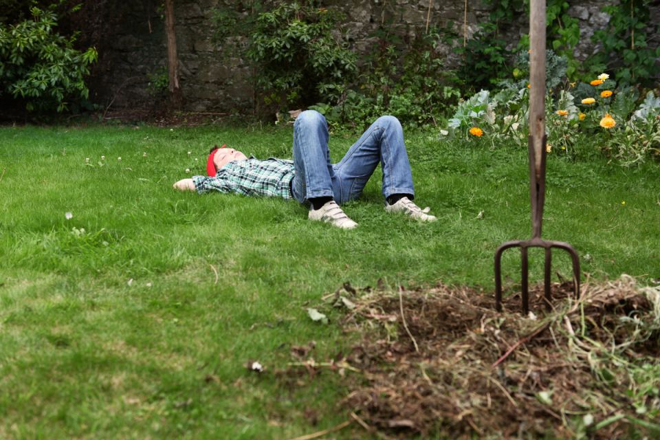 ��� ��������� ������ ����: ������� ������ ��� ��������� ���� � �������