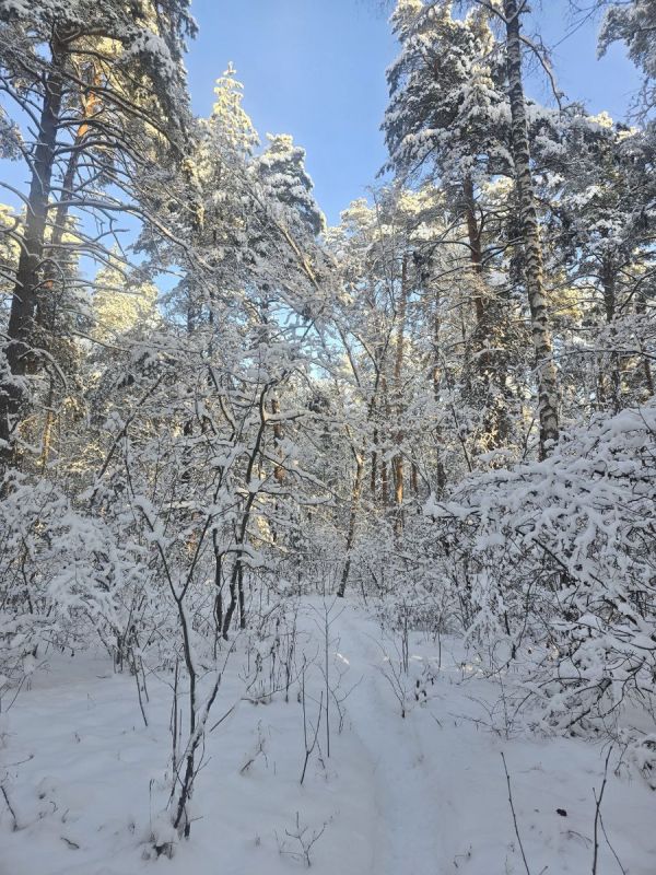 ��������� ��������: ��������� ��������� �� �������