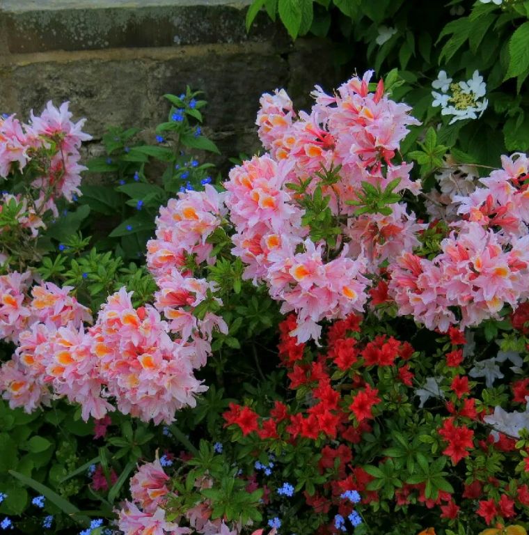 ���������� �����: ����� ������� ������������� ��������