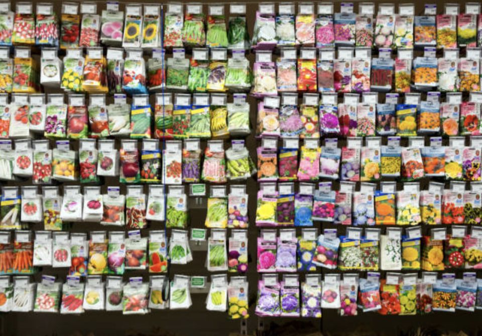 ��� ������� ������������ ������: ������������ ������ ��� ��������� ������