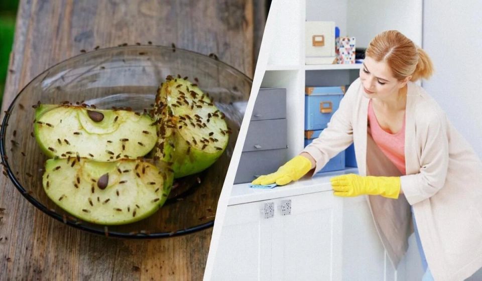 ��� ���������� �� ����� � ��������: ������� � ����������� ������