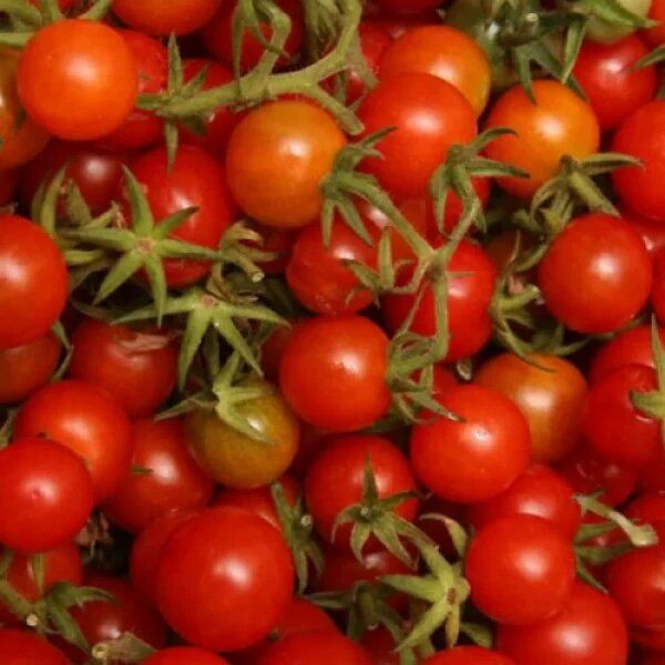 ������� ����� �� ����� �����������: ���� ������� ��� �����