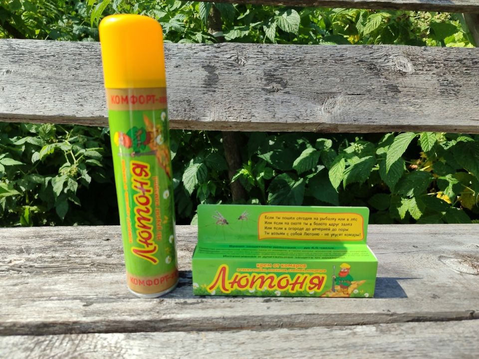 ��� ������� � �������: ��� �������� ������� ������ ��������