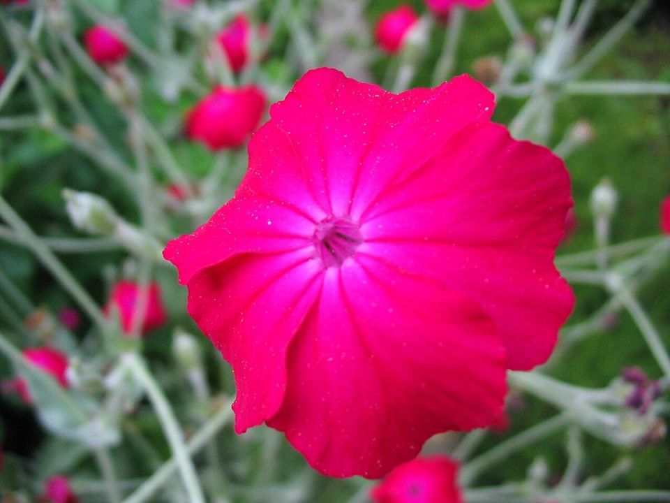 ������ �� ����������� ���� ����� � ����: ������ ���������� �������� ����������� ����