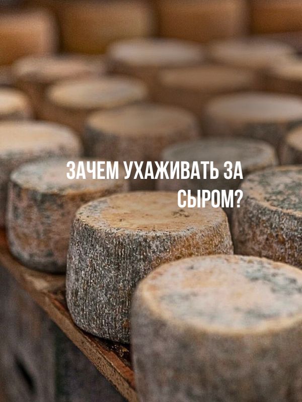 ������� ���������� ����� �� �����