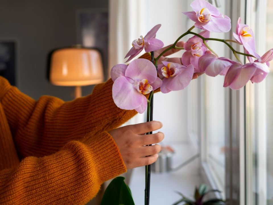 ������ ����� ������� ���������: �������� ������� � ������ �� �����