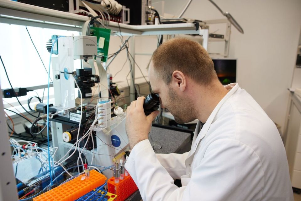 ����������� �������� ���� �������� ���� � ������ ������