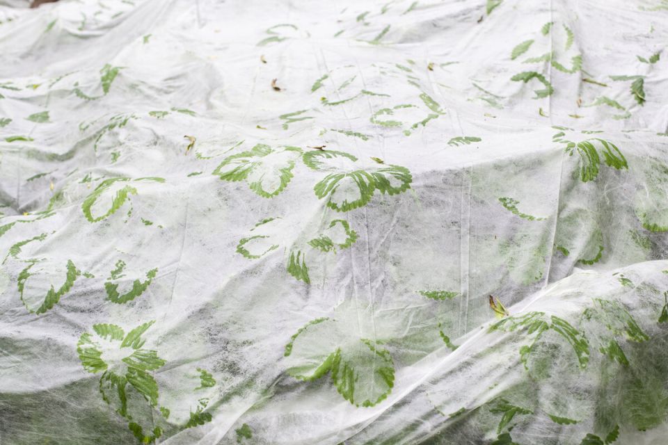 ��� ������� ��������: ������ ��������