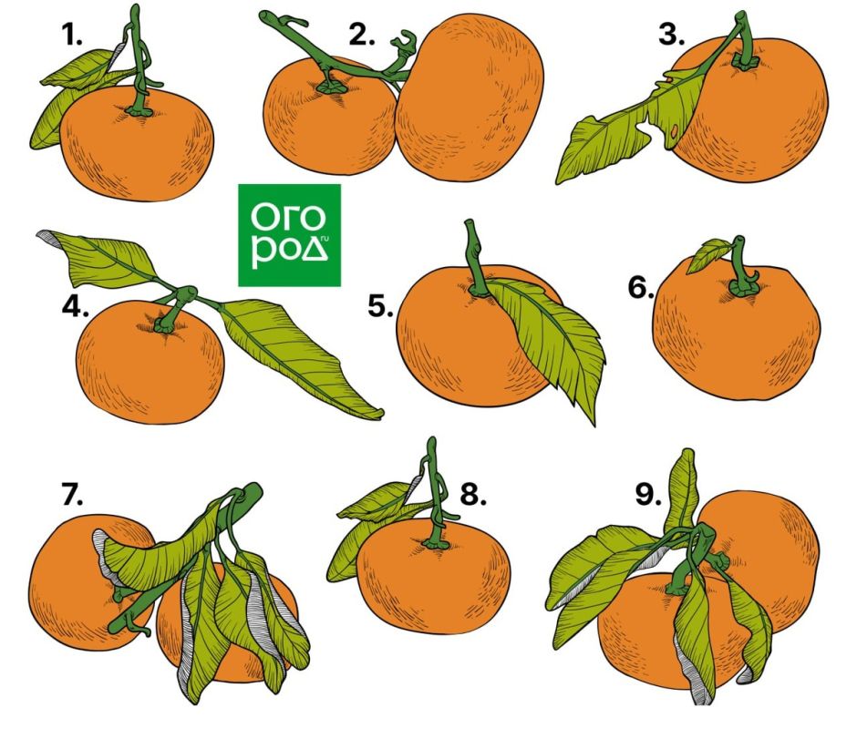 ���������� �� ��������� ��������� ���������� � ��� ��������� ��������