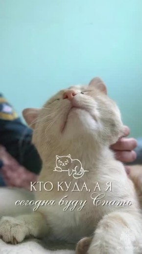 , !.           -  !  :    ,            ...