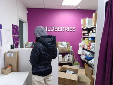      10 : ,    Wildberries  Ozon,   