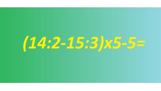   젗    15 : ,  IQ 110