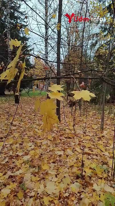 В ближайшие дни значительных осадков не предвидится — Гидрометцентр Удмуртии