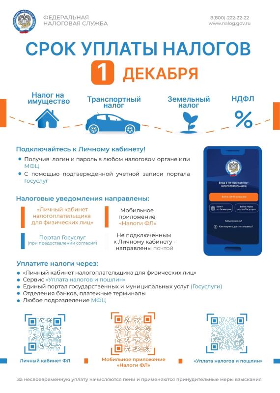 Не позднее 1 декабря 2025 года необходимо уплатить налоги за 2024 год
