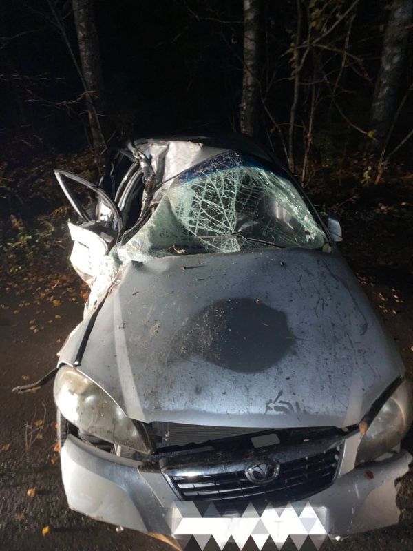 14 октября 2025 года, около 17 часов 40 минут, напротив дома № 5, расположенного в починке Мирный Завьяловского района Удмуртии, 26-летний водитель автомобиля «Дэу Джентра», в пути следования не справился с управлением...