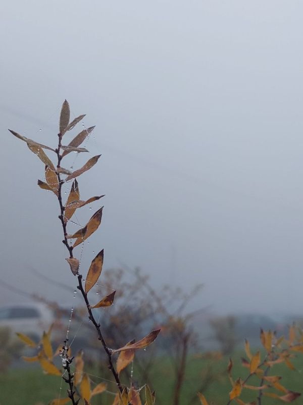 Чудеса погоды Доброе утро, Ижевск!