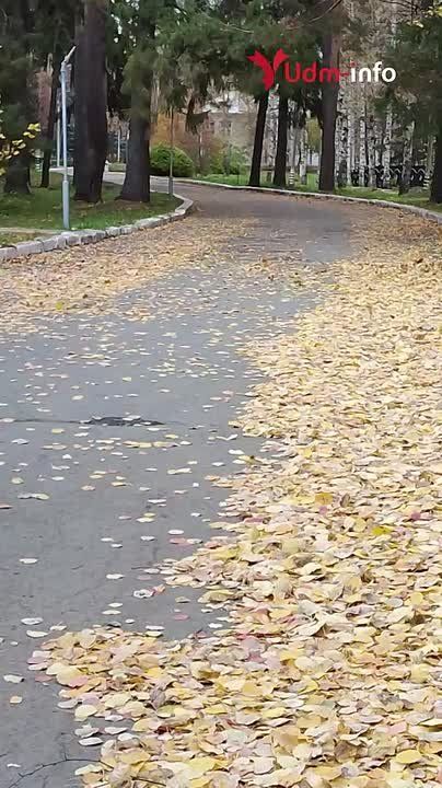 Взгляд назад. Интересные факты и важные новости прошедшей рабочей недели за 1 минуту