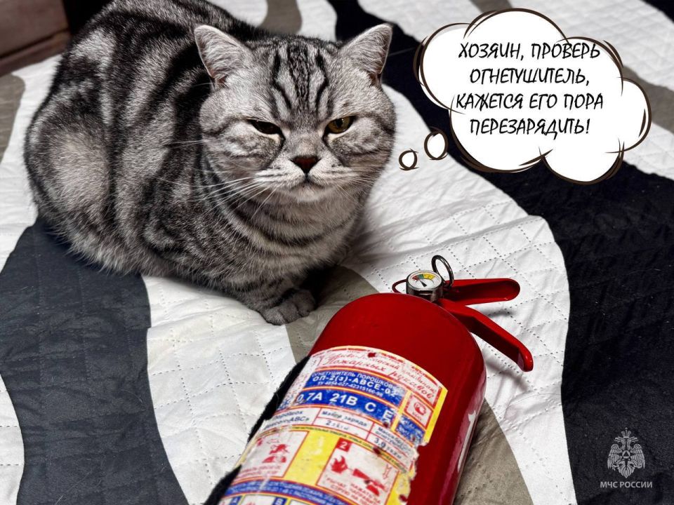 Нарушитель обезврежен. Огнетушитель заряжен