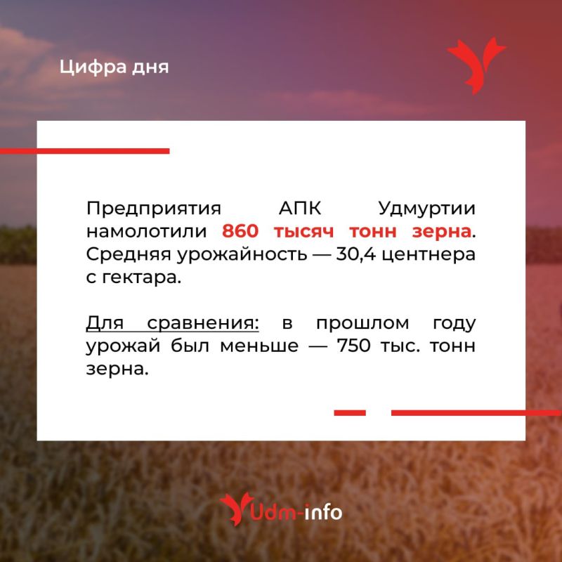 С голоду не помрём, судя по отчетам властей об урожае