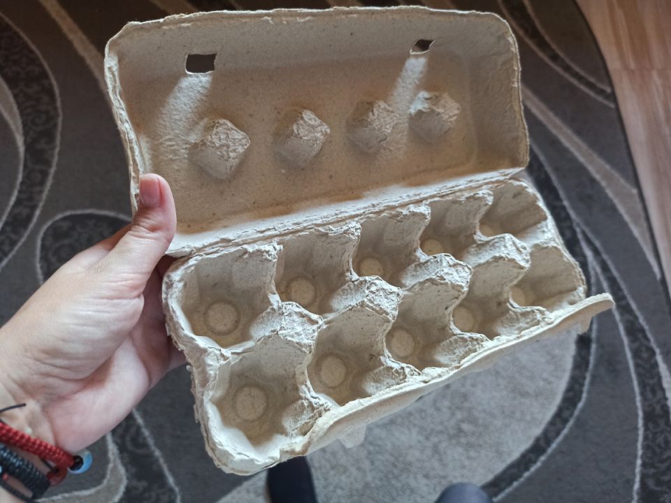 Как применить яичные лотки для защиты урожая: гениальные способы