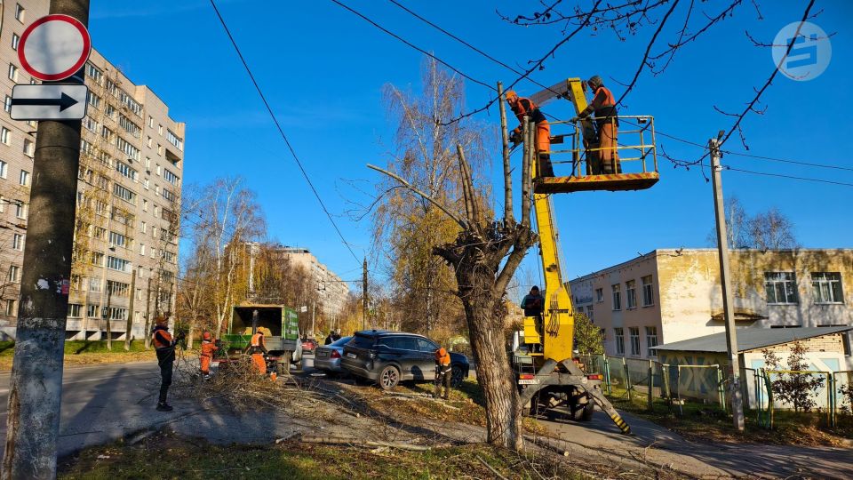 В Ижевске идёт работа по ликвидации аварийных деревьев, состояние которых может угрожать жизни прохожих