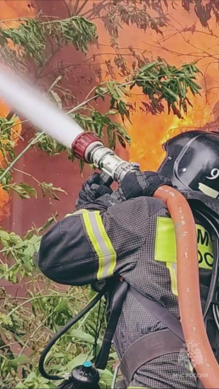 Хочешь приедем к тебе домой?