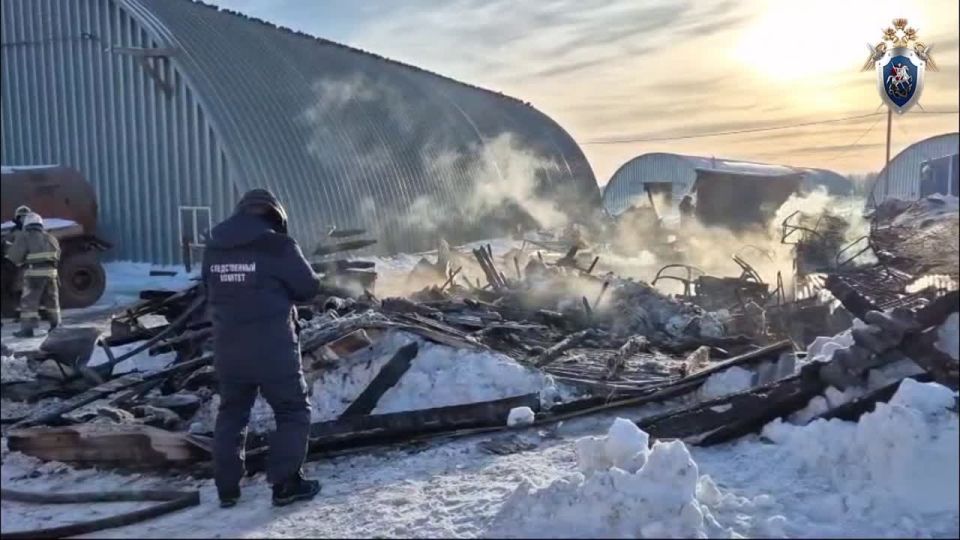 В Татарстане направили в суд уголовное дело дочери экс-министра сельского хозяйства Удмуртии Елены Собиной