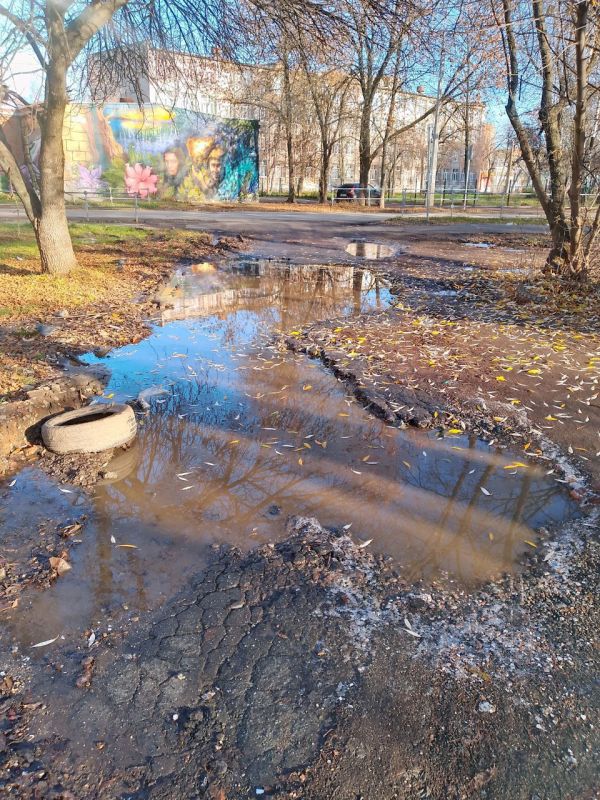 И СНОВА СЛОВО ЧИТАТЕЛЮ!. «Это разве тротуары?»