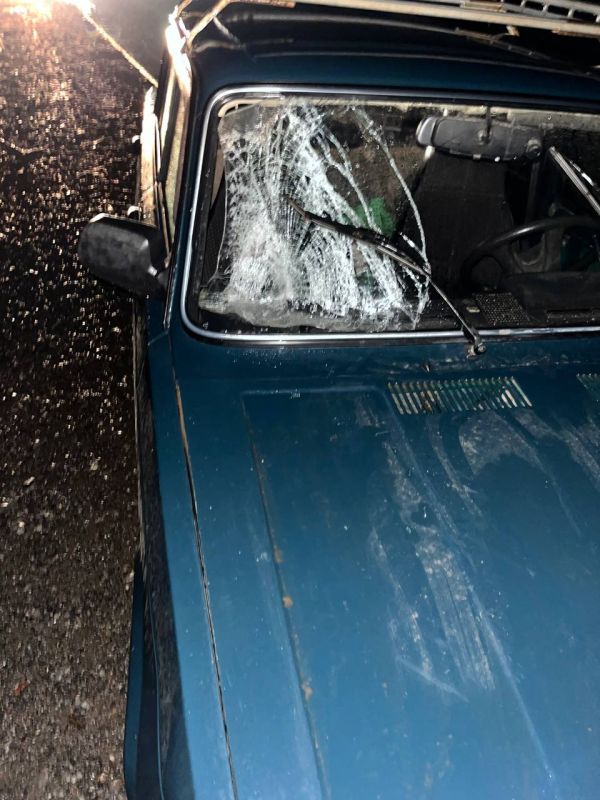 Пешеход попал под колёса автомобиля на трассе «Воткинск-Чайковский»