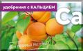 Кальций для сада: осенние удобрения, которые нельзя игнорировать