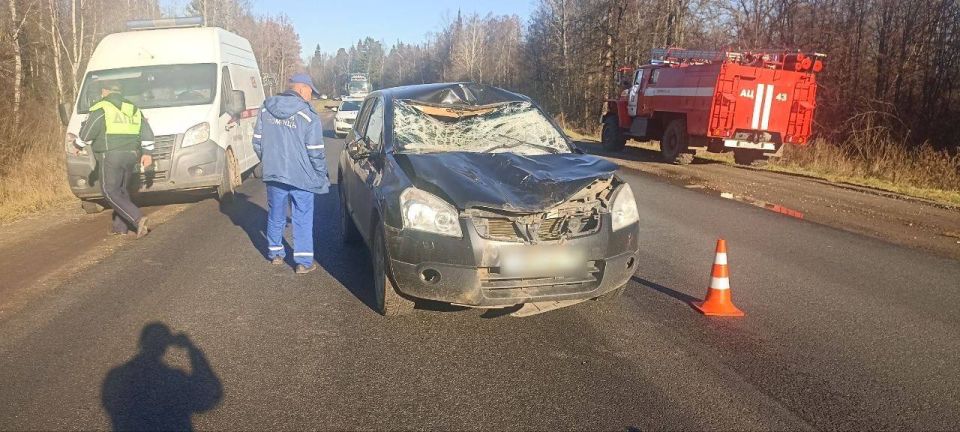 26   224-    -       ,  -  