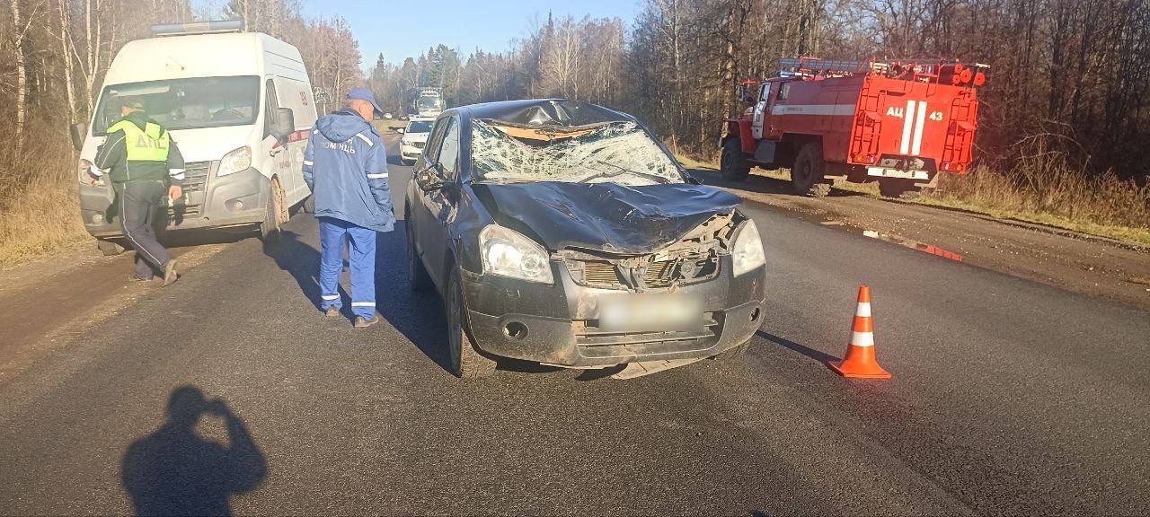26 октября на 224-м километре трассы в Якшур-Бодьинском районе женщина за рулём «Ниссана» сбила лося, сообщает пресс-служба Госавтоинспекции региона
