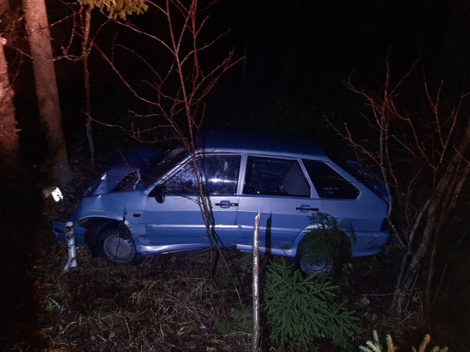 24 октября 2025 года, около 2 часов 40 минут, на 5-м километре автодороги «Менил-Лозолюк» на территории Игринского района Удмуртии, 18 – летний водитель автомобиля «ВАЗ 21140» (водительский стаж – 4 месяца), в пути...