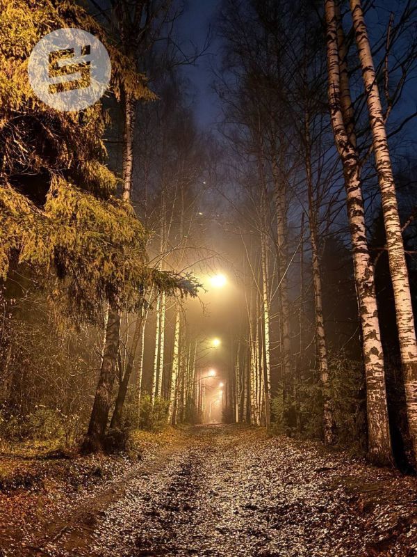 Туманный Ижевск в объективе Даниила Моисеева